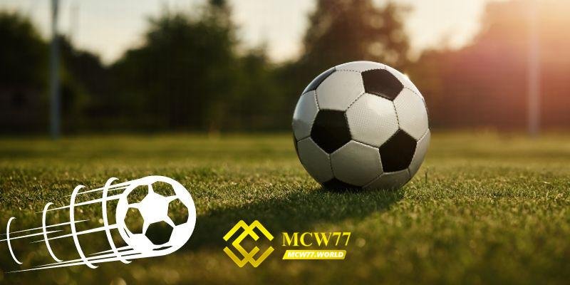 MCW77 sở hữu uy tín đã được kiểm chứng